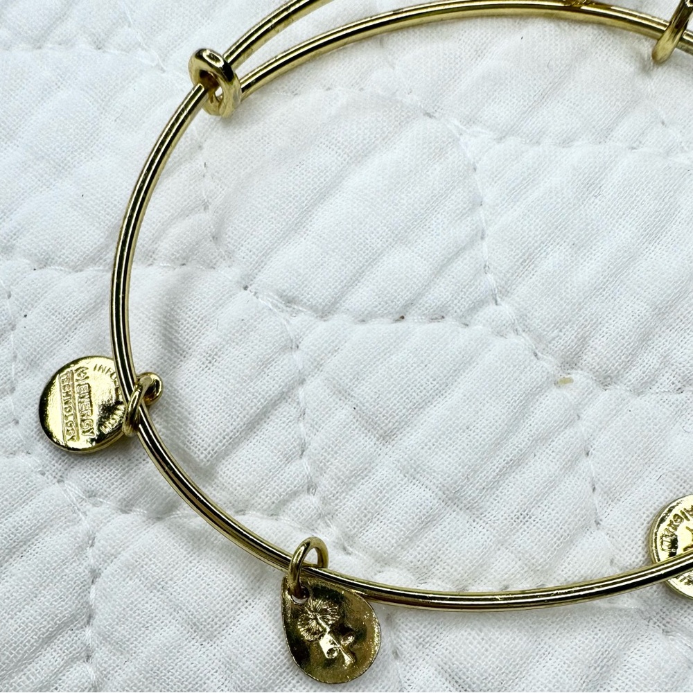Alex and Ani April Birthstone Charm Bangle - Clear Crystal - Picture 6 of 10